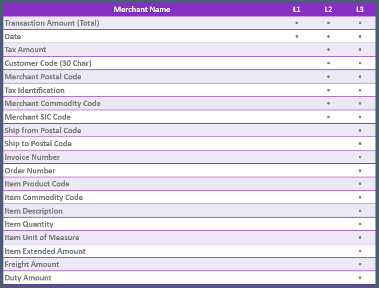 Level 1 versus Level 2 versus Level 3 Credit Card Processing data fields