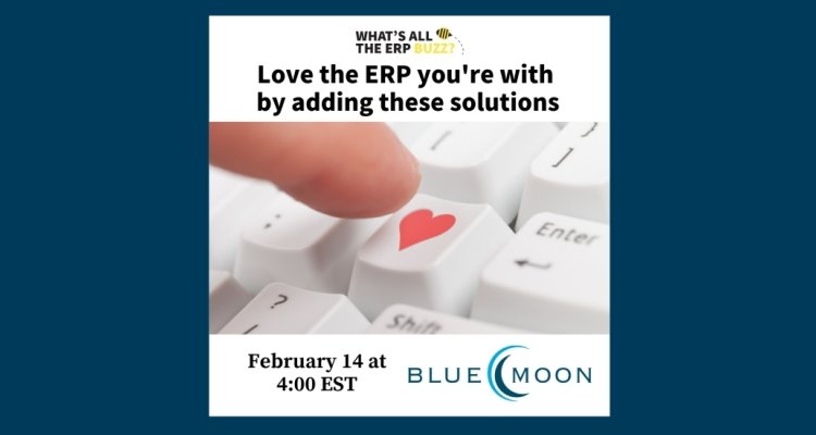 Love the ERP You're with by Adding These ISV Solutions