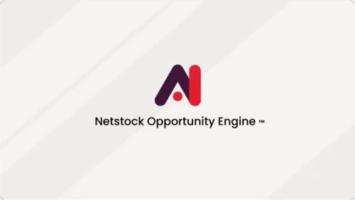 Netstock: AI Opportunity Engine