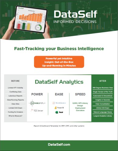 Dataself: Fast-Tracking Your Business Intelligence