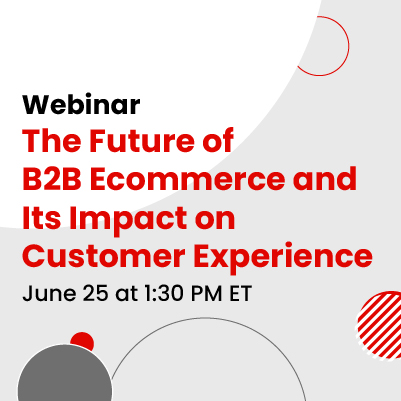 The Future of B2B Ecommerce and Its Impact on the Customer Experience
